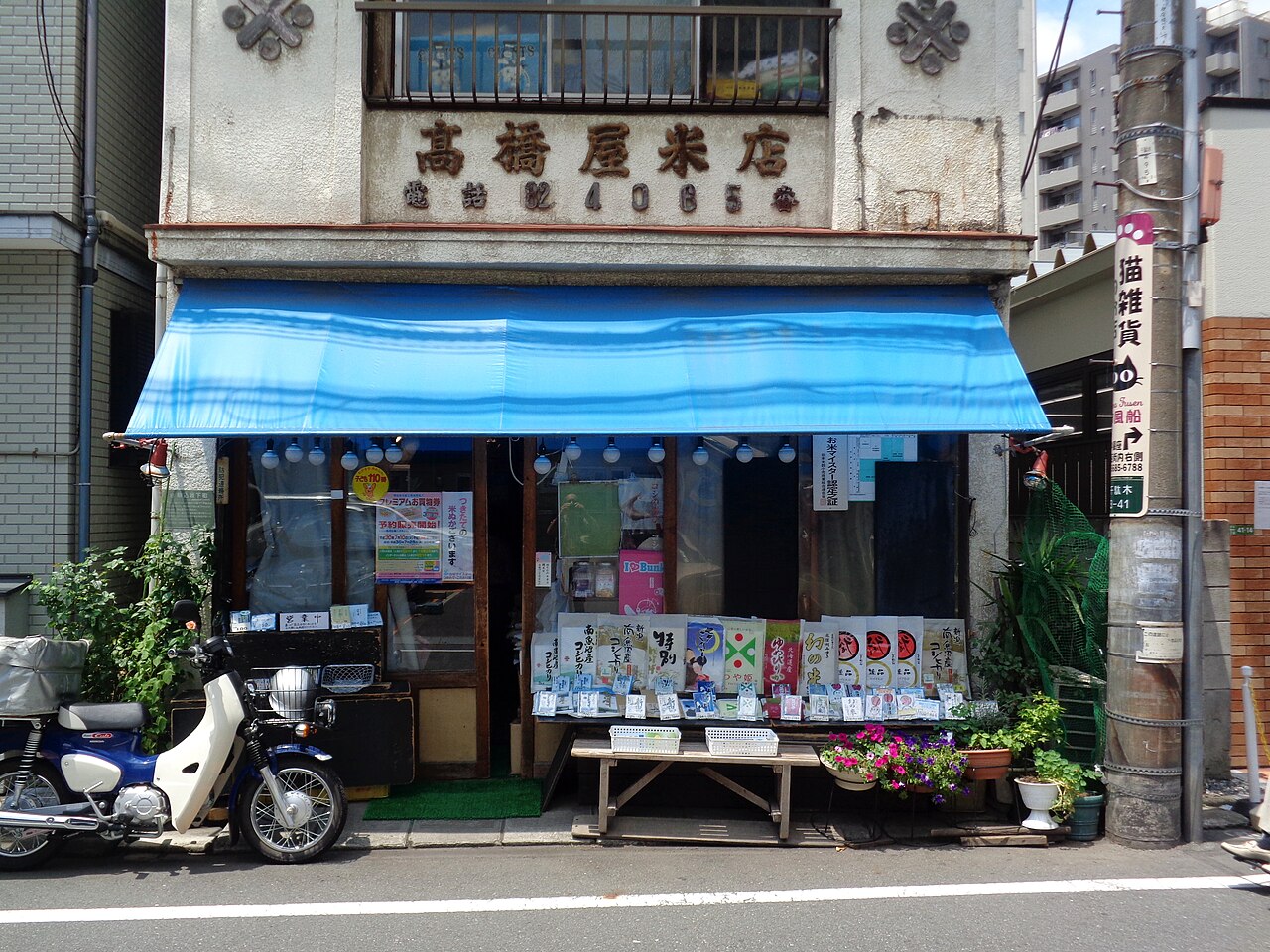 谷中