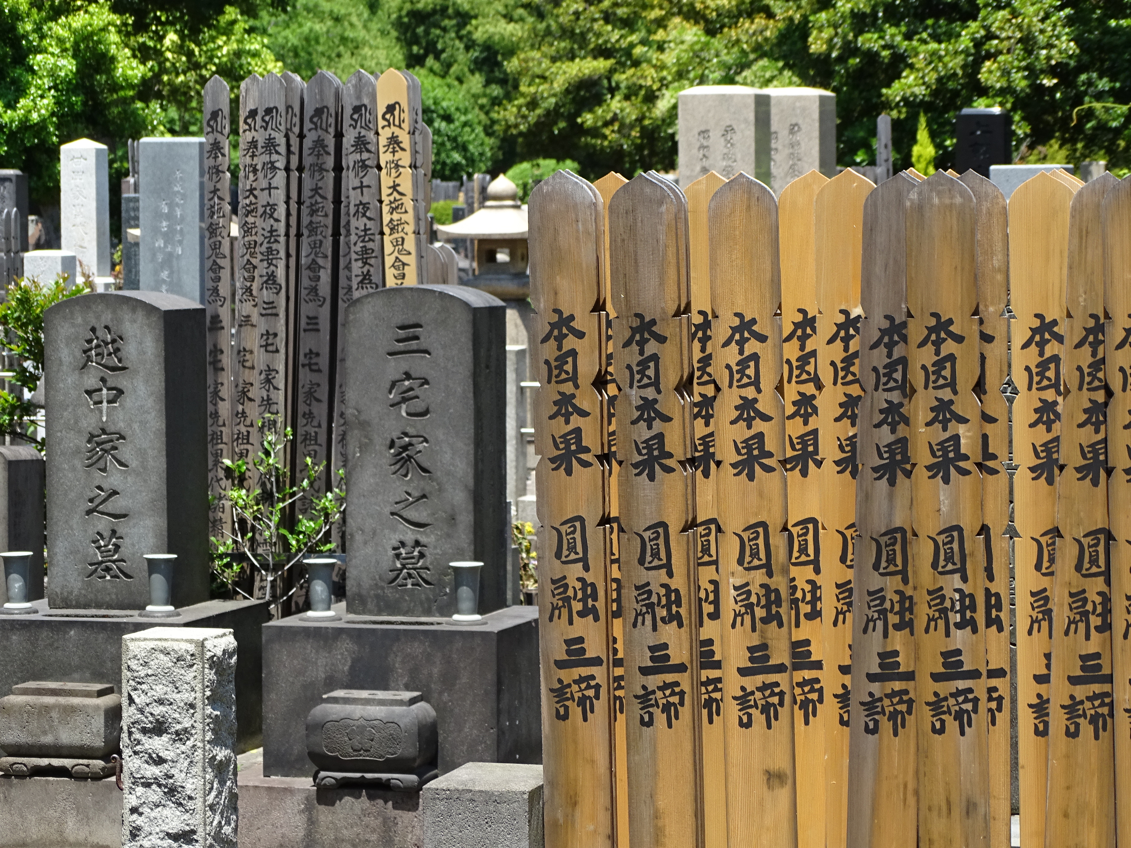 谷中霊園