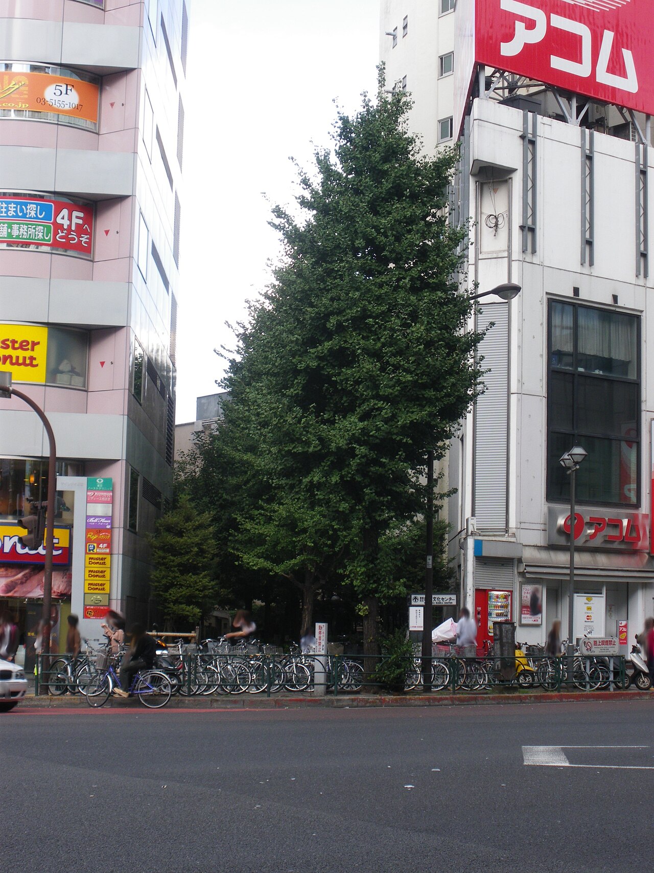 新宿駅から四季の路へ 都電の線路跡とゴールデン街散歩