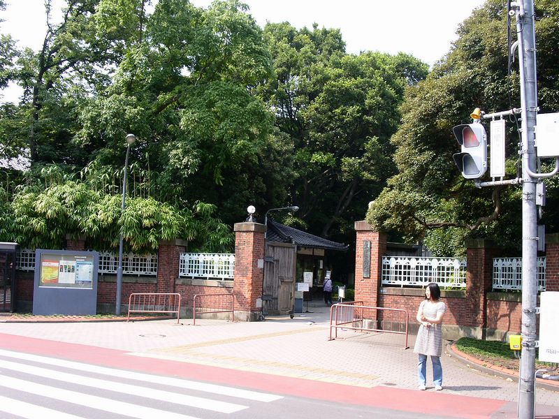 東京芸術大学