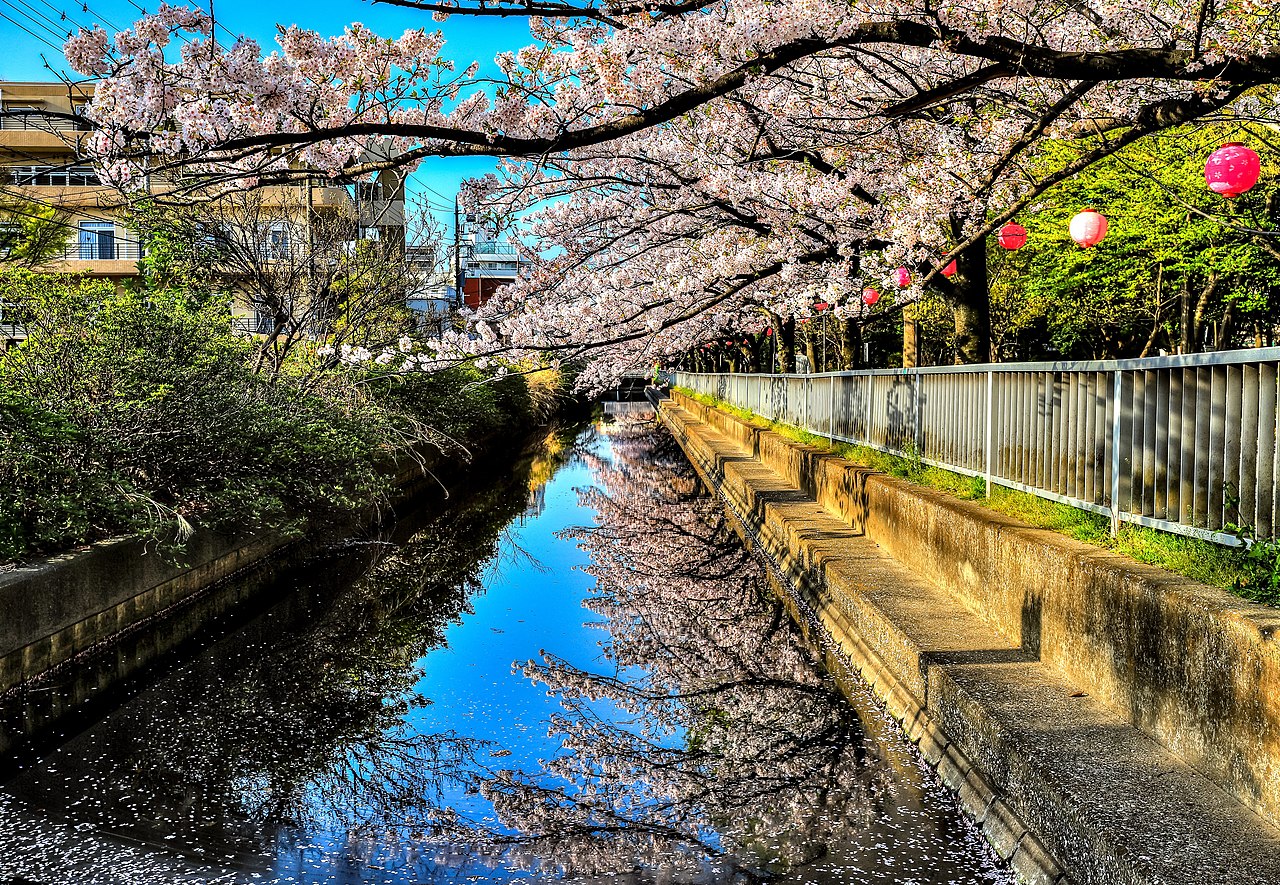 仙台堀川公園